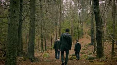 Werewolf and Demon in the Woods