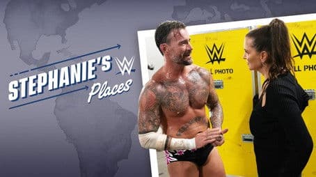 CM Punk: The Return