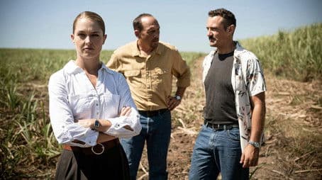 The Phoenix Strangler (1)