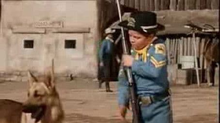 Rin Tin Tin in the Flaming Forest