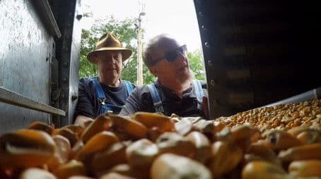 Hard Times Make the Best Shine