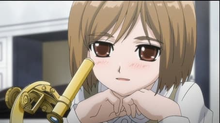 Retirement of the Tibetan Terrier