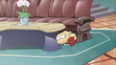 School Festival Bravo!