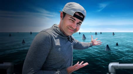 Alien Sharks: Greatest Hits