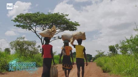 The ecological footprint