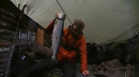 The three strongest remain