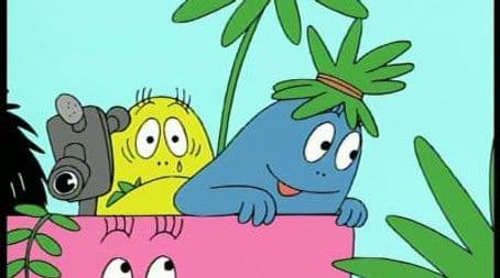 New Guinea - Birds of Paradise