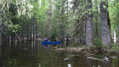 Disappearing Lake, Bat Mystery, Jeff Douglas Remembered And Klamath Lake Canoe Trail