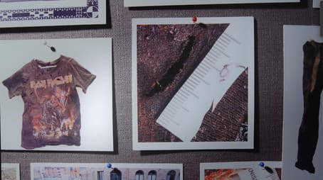 The death in the park