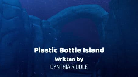 Plastic Bottle Island