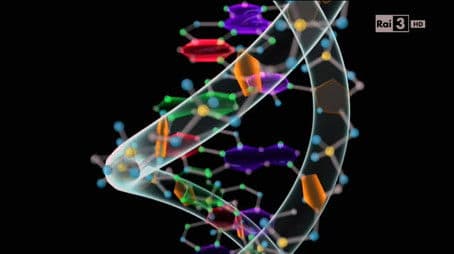 Le sorprese del DNA (seconda versione)