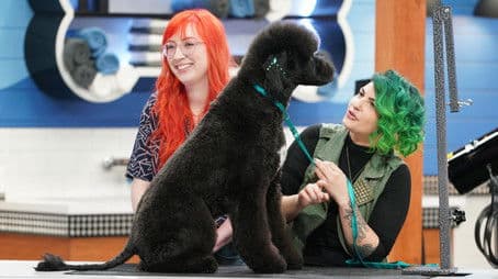 From Grotty to Hottie