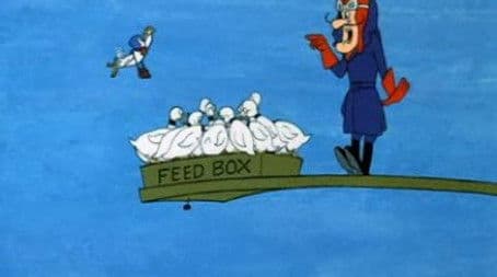 Go South Young Pigeon