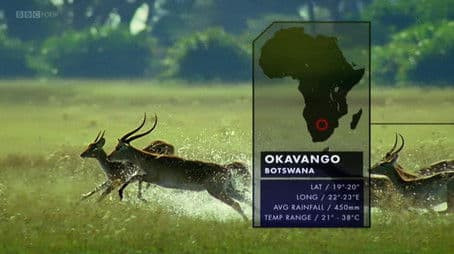 Okavango