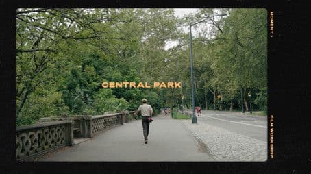 NYC Central Park
