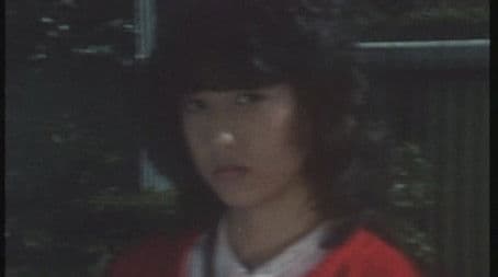 The Doll Knows the Wounds of the Iga Warrior's Heart