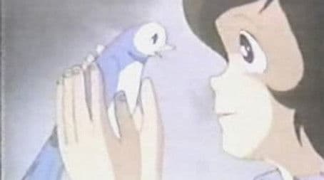 Where are you going, blue bird?