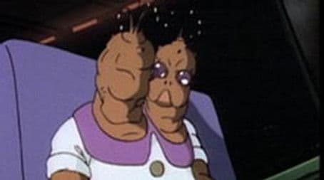 The Magnificent Kiwi