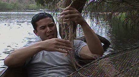 The First 24 Days: A Closer Look