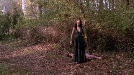 The Devil in the Details