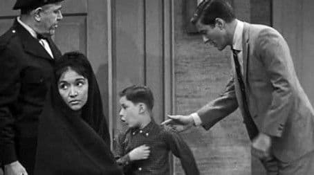 Turtles, Ties, and Toreadors