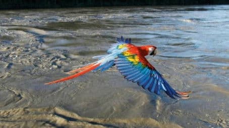 Earthflight: South America