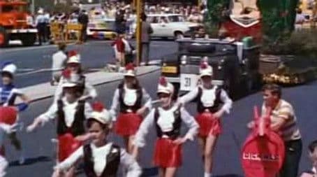 The Waratah Festival