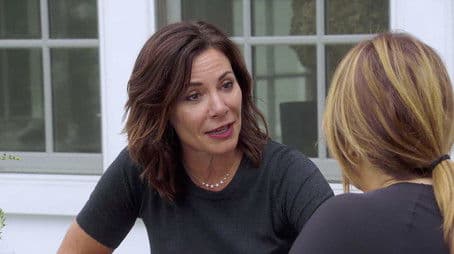 Divided, They Summer