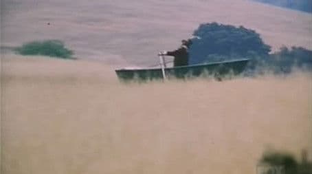 Another Windmill to Go