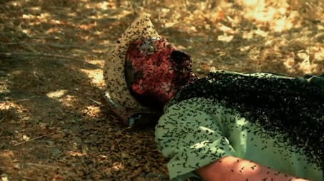 Dying to Tell the Story