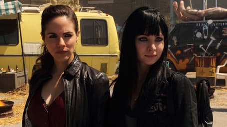 Something Wicked This Fae Comes