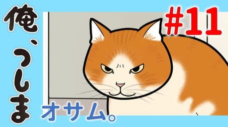 WEB Animation - #11 Osuamu