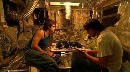 While the Grass Grows