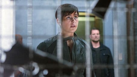 A Reptile Dysfunction