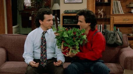 Little Apartment of Horrors