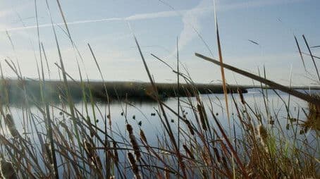 Duck Hunt | The Natural Way