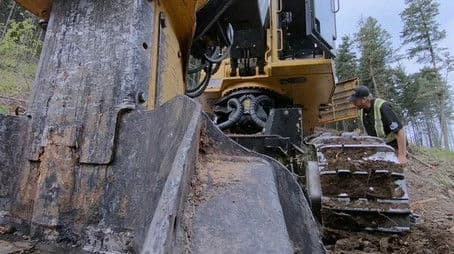 Pain in the Backwoods