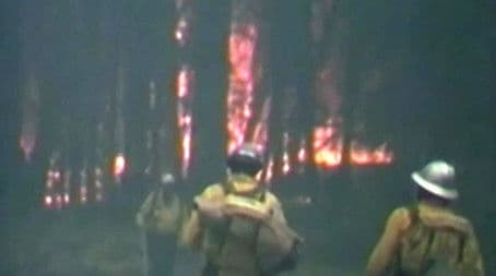 Firefighting: The Arson Detectives