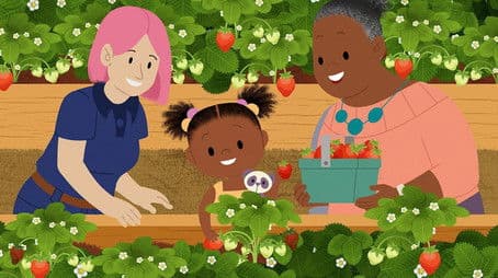 Summer: It's Time to Pick Strawberries