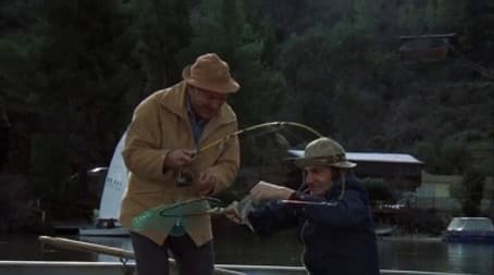 Visitors in Paradise