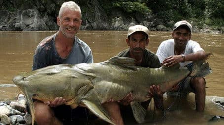 Killer Catfish - Extended Cut