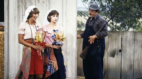 Shotgun Wedding (II)