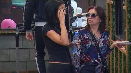 VIP Brother 2016 - Daily