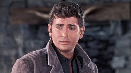 The Julia Bulette Story