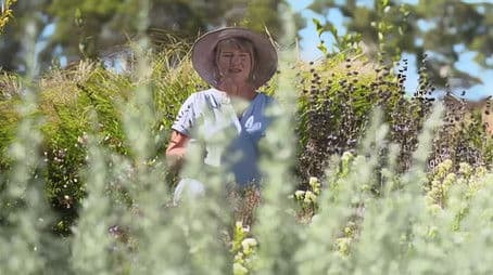 Episode 15 Autumn Action, Make a Gate & Botanical Brew