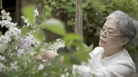 Folk House 2: The Gift of Spring