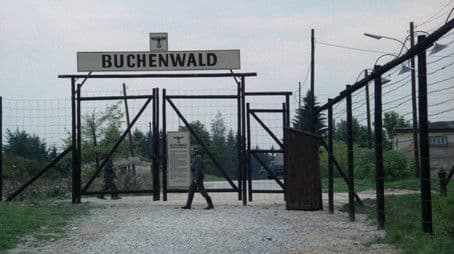 The Road To Babi Yar