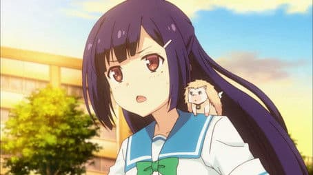 The Collapse of a Heart