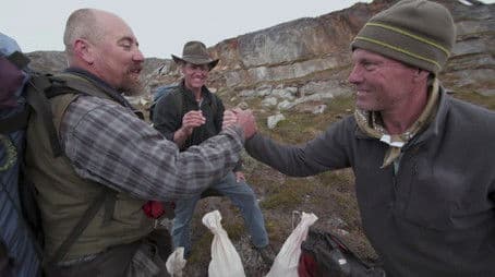 Discord, Deer and Discovery