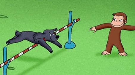 The Box and the Hound